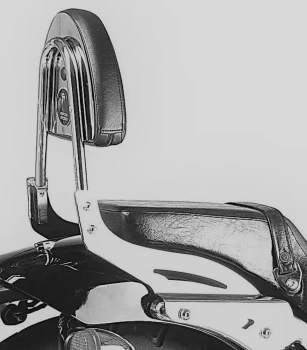 Hepco&Becker 50 D2 Black Widow (2001-2003) sissybar without rack - 600918 00 02